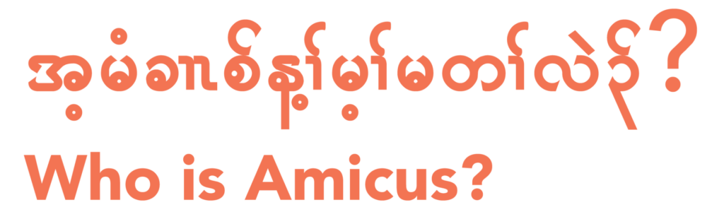 Who is Amicus Karen Support